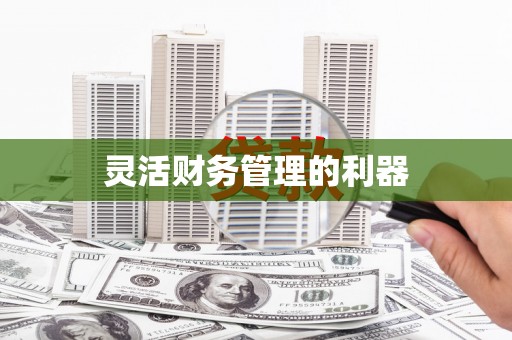 镇原灵活财务管理的利器