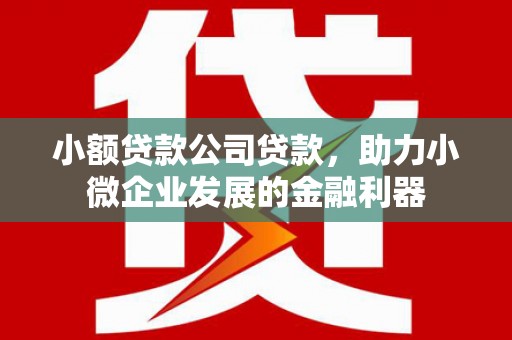 镇原小额贷款公司贷款，助力小微企业发展的金融利器