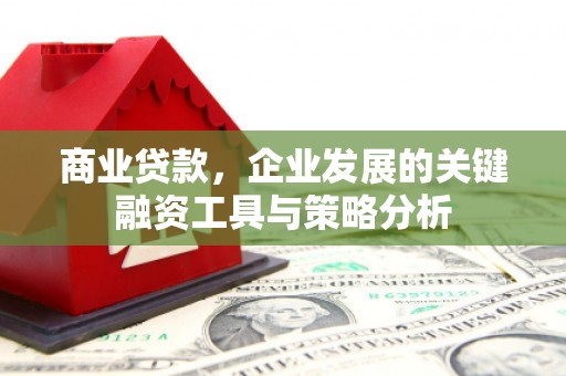 镇原商业贷款，企业发展的关键融资工具与策略分析