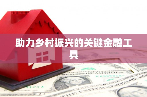 镇原助力乡村振兴的关键金融工具