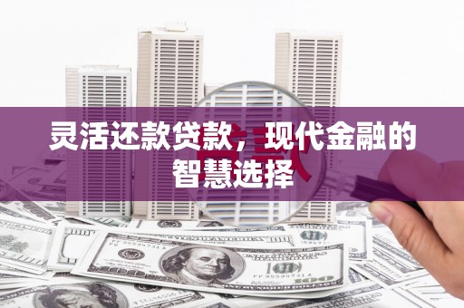 镇原灵活还款贷款，现代金融的智慧选择