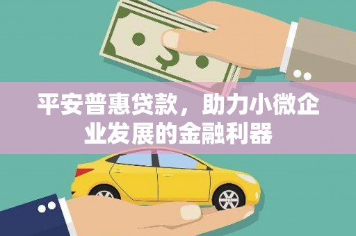 镇原平安普惠贷款，助力小微企业发展的金融利器