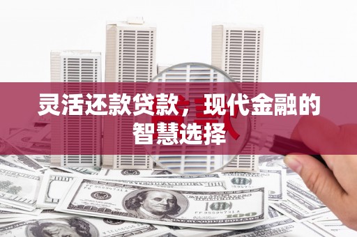 镇原灵活还款贷款，现代金融的智慧选择