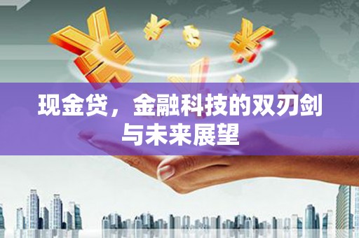 镇原现金贷，金融科技的双刃剑与未来展望