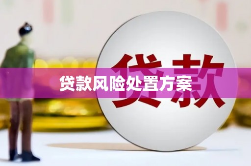 镇原贷款风险处置方案