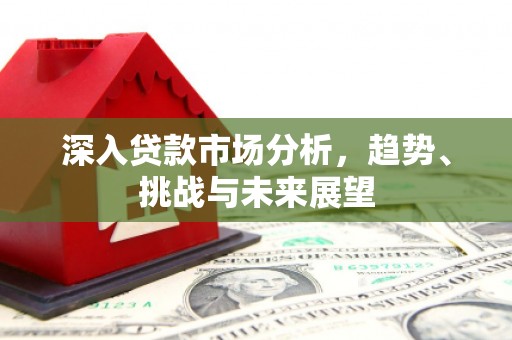 镇原深入贷款市场分析，趋势、挑战与未来展望