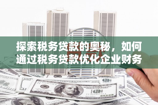 镇原探索税务贷款的奥秘，如何通过税务贷款优化企业财务