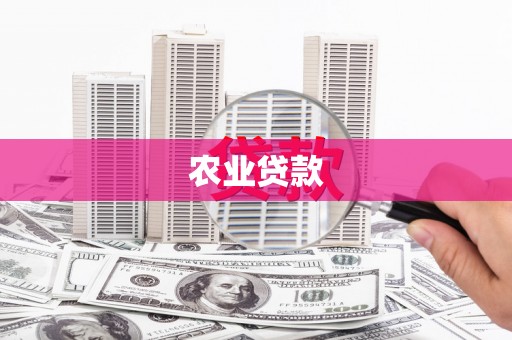 镇原农业贷款