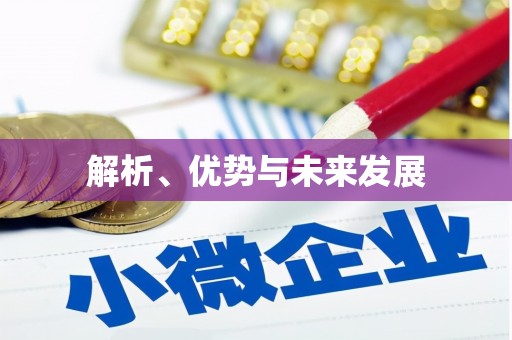 镇原解析、优势与未来发展