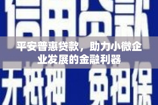 镇原平安普惠贷款，助力小微企业发展的金融利器