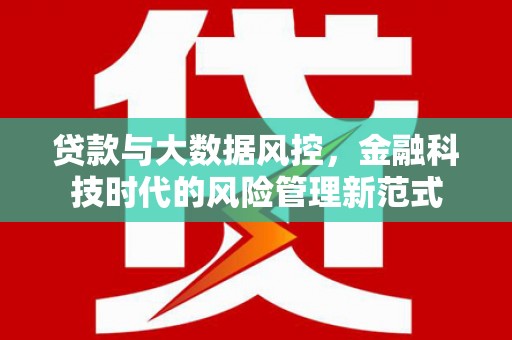 镇原贷款与大数据风控，金融科技时代的风险管理新范式