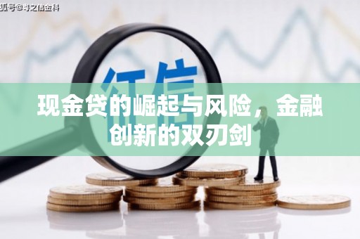 镇原现金贷的崛起与风险，金融创新的双刃剑