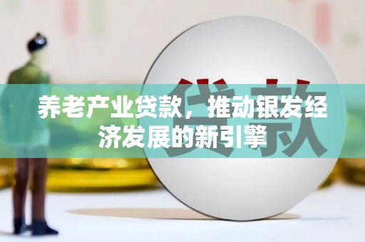 镇原养老产业贷款，推动银发经济发展的新引擎