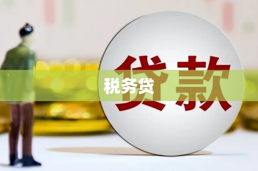镇原税务贷