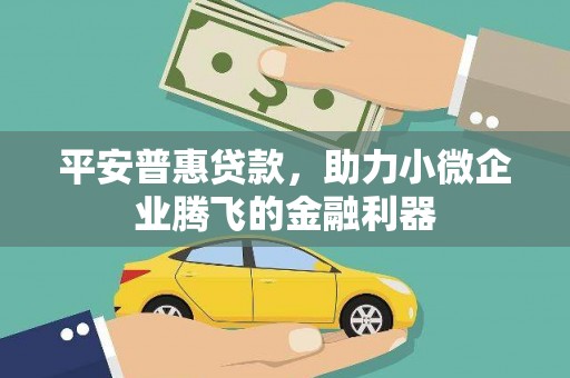 镇原平安普惠贷款，助力小微企业腾飞的金融利器