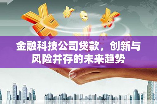 镇原金融科技公司贷款，创新与风险并存的未来趋势