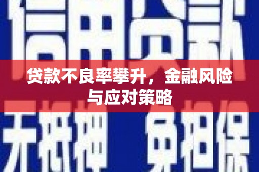 镇原贷款不良率攀升，金融风险与应对策略