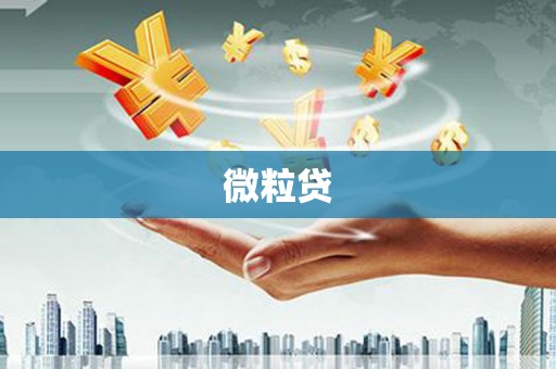 镇原微粒贷