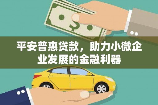 镇原平安普惠贷款，助力小微企业发展的金融利器