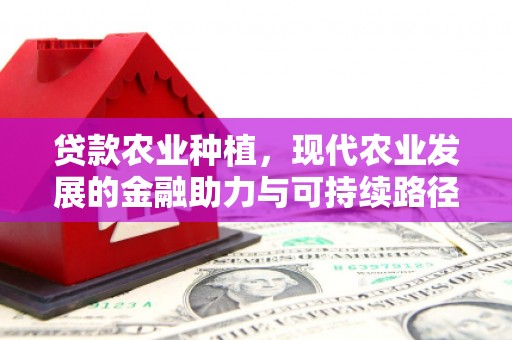 镇原贷款农业种植，现代农业发展的金融助力与可持续路径