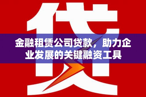 镇原金融租赁公司贷款，助力企业发展的关键融资工具