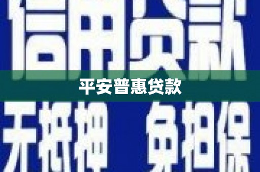 镇原平安普惠贷款