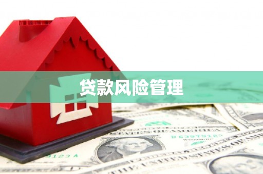 镇原贷款风险管理