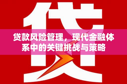 镇原贷款风险管理，现代金融体系中的关键挑战与策略