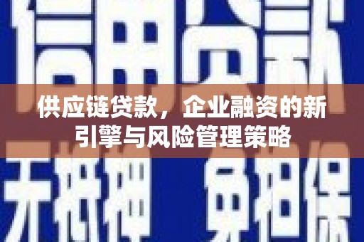 镇原供应链贷款，企业融资的新引擎与风险管理策略