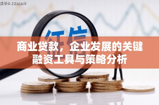 镇原商业贷款，企业发展的关键融资工具与策略分析