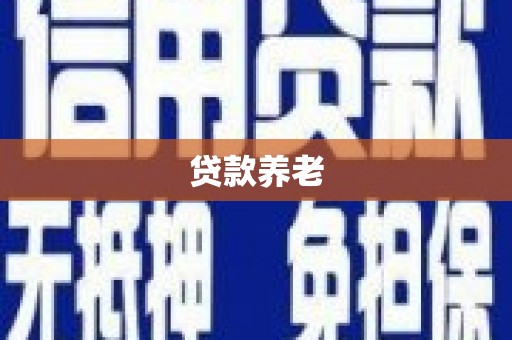 镇原贷款养老