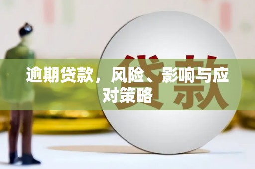 镇原逾期贷款，风险、影响与应对策略