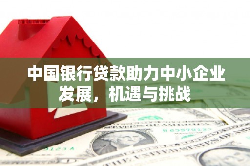镇原中国银行贷款助力中小企业发展，机遇与挑战