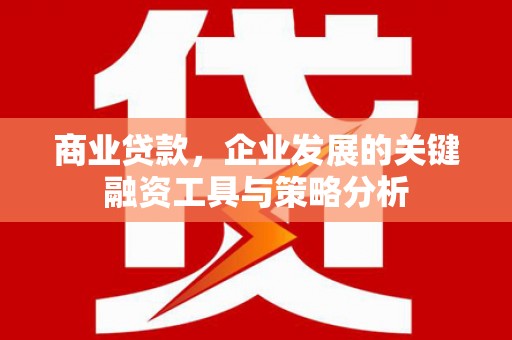 镇原商业贷款，企业发展的关键融资工具与策略分析