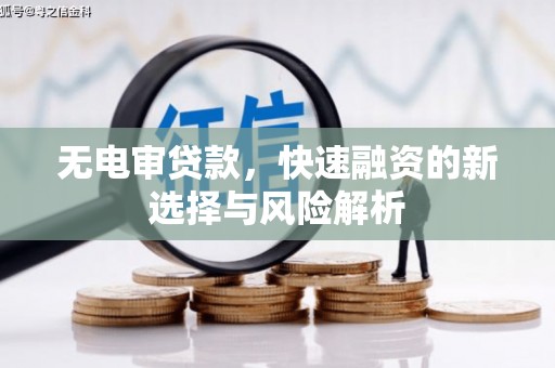 镇原无电审贷款，快速融资的新选择与风险解析