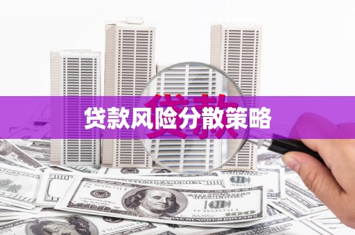 镇原贷款风险分散策略