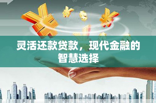 镇原灵活还款贷款，现代金融的智慧选择