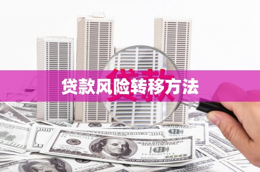 镇原贷款风险转移方法