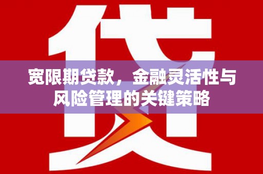 镇原宽限期贷款，金融灵活性与风险管理的关键策略