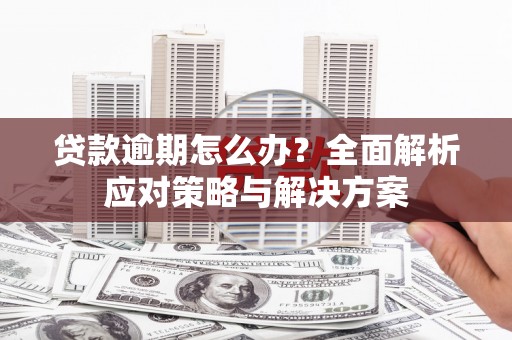 镇原贷款逾期怎么办？全面解析应对策略与解决方案