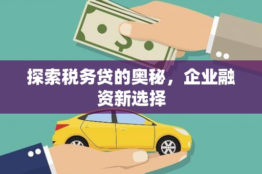 镇原探索税务贷的奥秘，企业融资新选择