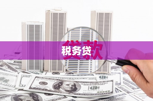 镇原税务贷