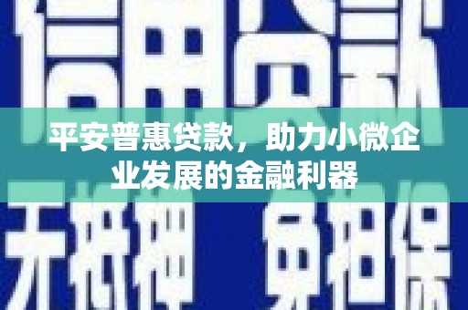 镇原平安普惠贷款，助力小微企业发展的金融利器