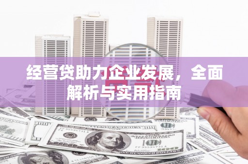 镇原经营贷助力企业发展，全面解析与实用指南