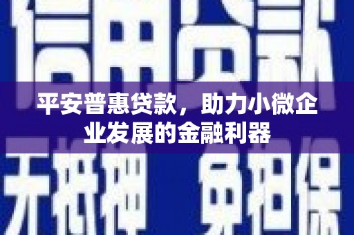 镇原平安普惠贷款，助力小微企业发展的金融利器