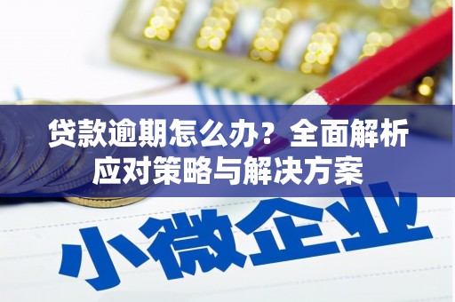 镇原贷款逾期怎么办？全面解析应对策略与解决方案