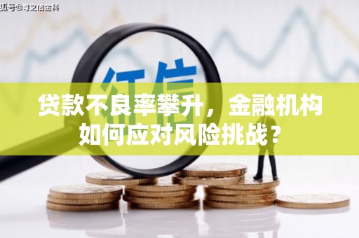 镇原贷款不良率攀升，金融机构如何应对风险挑战？