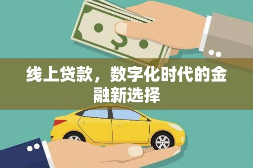 镇原线上贷款，数字化时代的金融新选择