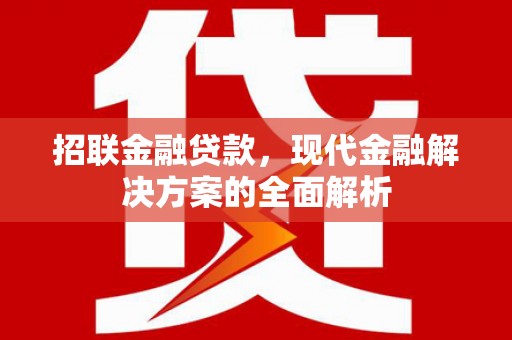 镇原招联金融贷款，现代金融解决方案的全面解析
