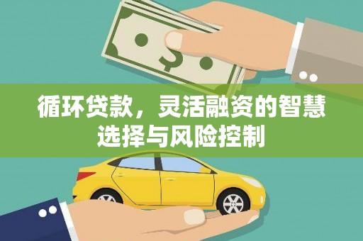 镇原循环贷款，灵活融资的智慧选择与风险控制